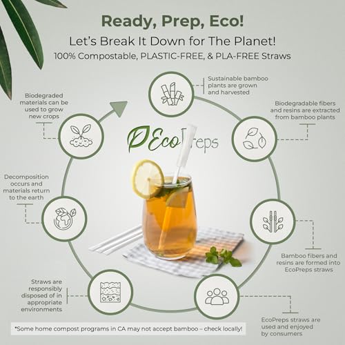EcoPreps 100 Count Biodegradable Bamboo Fiber Straws - Wrapped 7.8”
