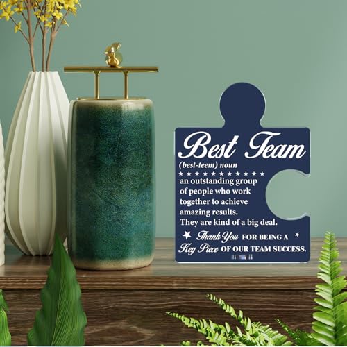 Team Appreciation Acrylic Puzzle Sign - Office Desk Decor - Variation T