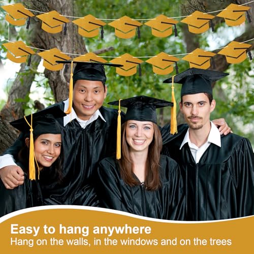 Pre-Strung Glitter Graduation Cap Banner for Class of 2026