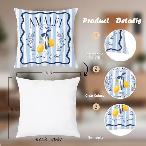 Nipil Blue Coastal Lemon Pillow Cover 18x18 Summer Mediterranean Decor