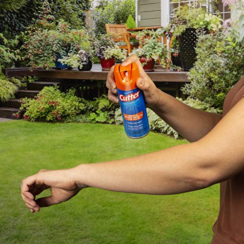 Cutter Unscented Mosquito & Insect Repellent Spray 6oz Pack of 12 - DEET 10%