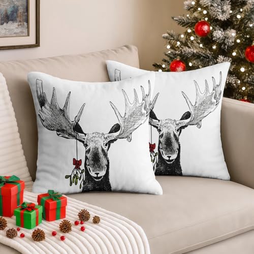 Emvency Moose Winter Throw Pillow Covers Set of 2 - 18x18 Inch