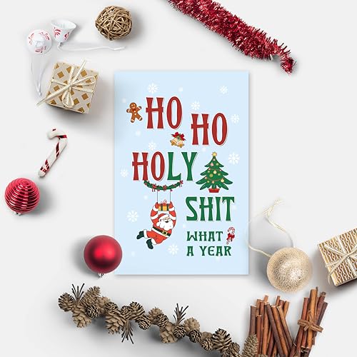 Funny Christmas Card Gifts for Women Men Holy Shit Cheeky Holiday Greeting Card