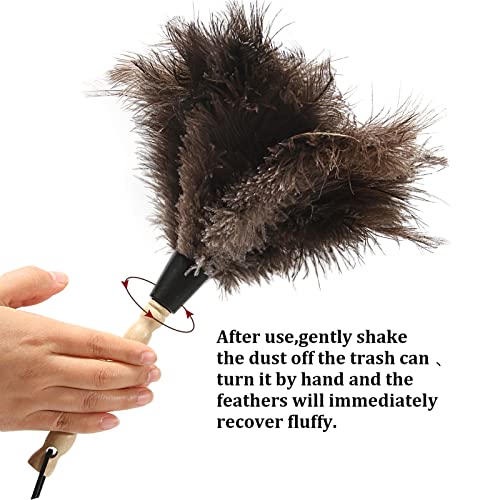 iHUFeather 14-Inch Ostrich Feather Duster - 2 Pieces, Eco-Friendly with Wooden Handle