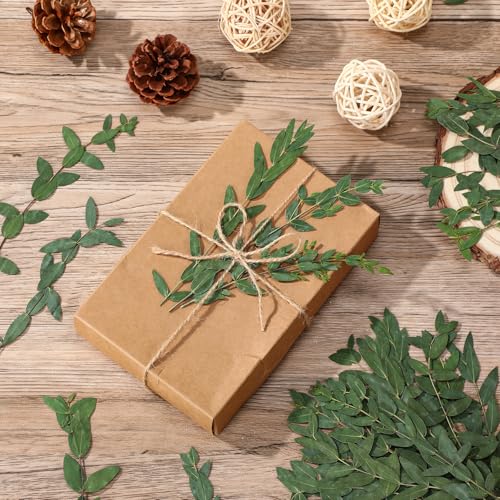 50 Pcs 6 Inch Dried Eucalyptus Leaves - Green Natural Decor
