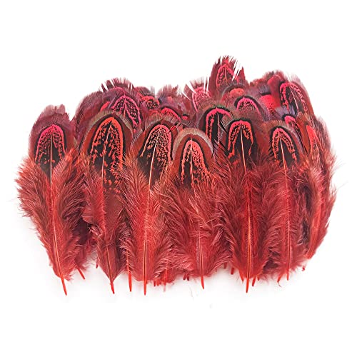 Natural Pheasant Plumage Feathers - 50 pcs, 2-3 Inches, Red