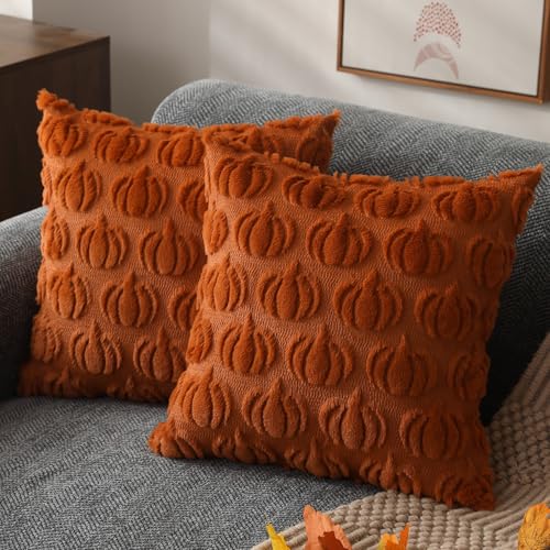 DFXSZ Rust Fall Pillow Covers 18x18 Inch, Soft Plush Set of 2