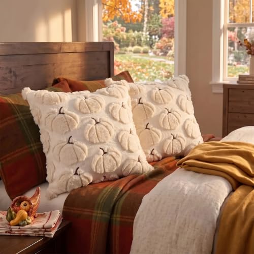 DANGEAB Fall Pumpkin Pillow Covers 18x18, Beige Set of 2 Autumn Decor
