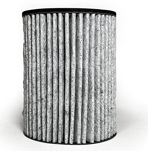 Nispira 2-in-1 HEPA & Activated Carbon Filter for Air Purifier