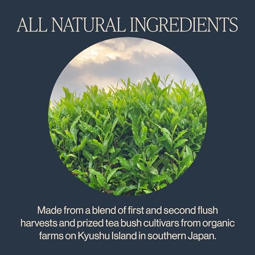 Rishi Tea Organic Sencha Green Tea Bags - 15ct, Caffeinated