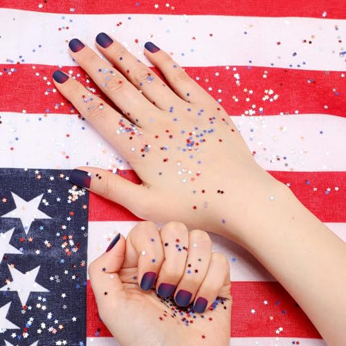 MIXFOSAHN 4th of July 3D Holographic Star Nail Art Sequins & Glitters, 12 Grids