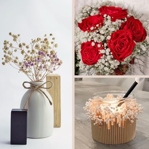 Dried Baby's Breath Bouquet - Pure White Gypsophila Flowers for DIY Decor