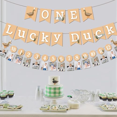 One Lucky Duck Birthday Party Decorations Set for 1st Birthday