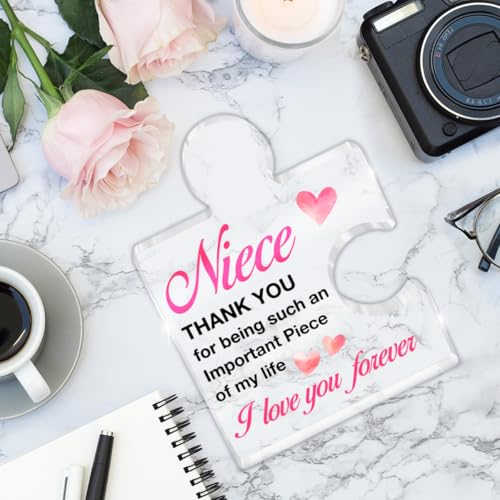 Acrylic Puzzle Piece Desk Sign - Thoughtful Niece Gift