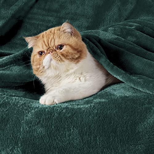 Bedsure Forest Green Fleece Throw Blanket - 50x60 inches Soft & Cozy