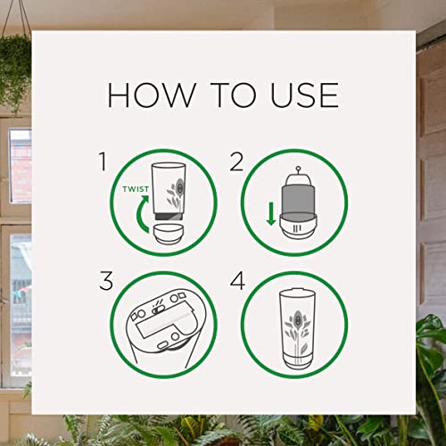 Air Wick Automatic Air Freshener Spray Refill, Paradise Retreat, 5.89 Fl Oz (Pack of 4)