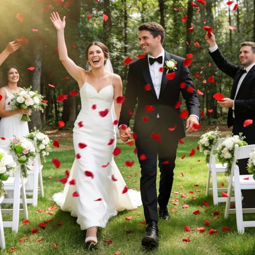 1200 PCS Red Artificial Silk Rose Petals for Weddings & Events