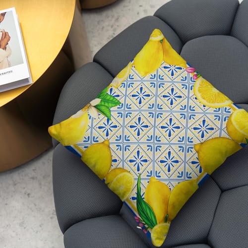 Italian Lemon Pillow Covers 18x18 Inch (Pack of 4) - Blue & Cyan