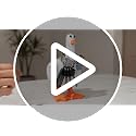Funny Middle Finger Duck Statue Resin Desk Decor Halloween Gag Gift