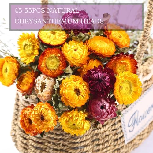 Asenfish 45-60pcs Natural Dried Flower Heads for Crafts & Decor