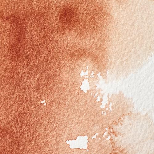 Winsor & Newton Professional Watercolor Half Pan - Burnt Sienna