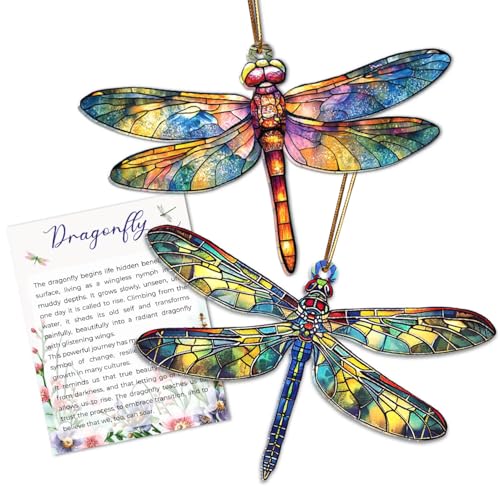 Musemory 2PCS Dragonfly Holiday Ornaments - Meaningful Christmas Tree Decorations