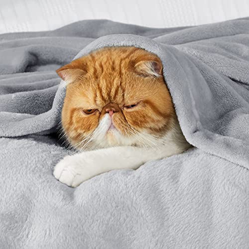 Bedsure King Size GentleSoft Fleece Blanket - Light Grey Plush