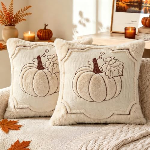 18x18 Fall Pumpkin Pillow Covers Set of 2 - Beige Embroidered