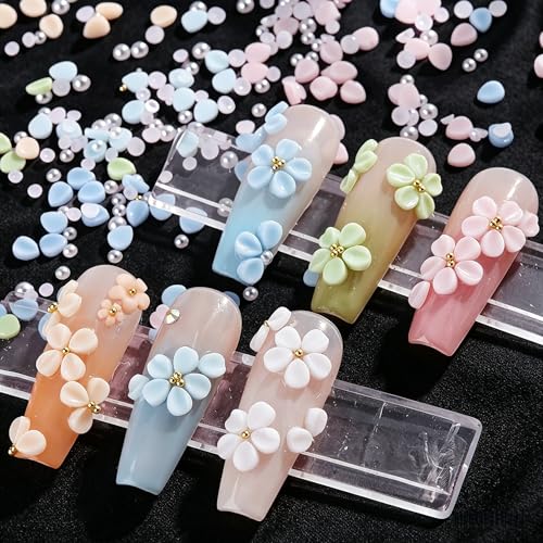 Tephrent 2 Boxes 3D Flower Nail Charms & Caviar Beads Rhinestones Set