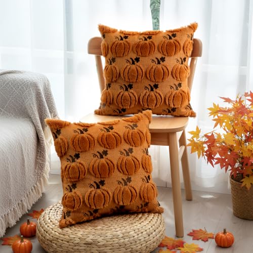 Thmyo Caramel Pumpkin Fall Pillow Covers 18x18 Inch 2-Pack Halloween Thanksgiving Decor