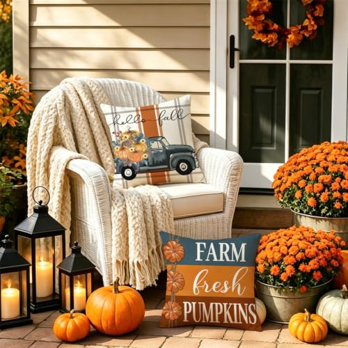Fall Throw Pillow Covers 18x18, Set of 4 Autumn Pumpkin Harvest Cushion Cases