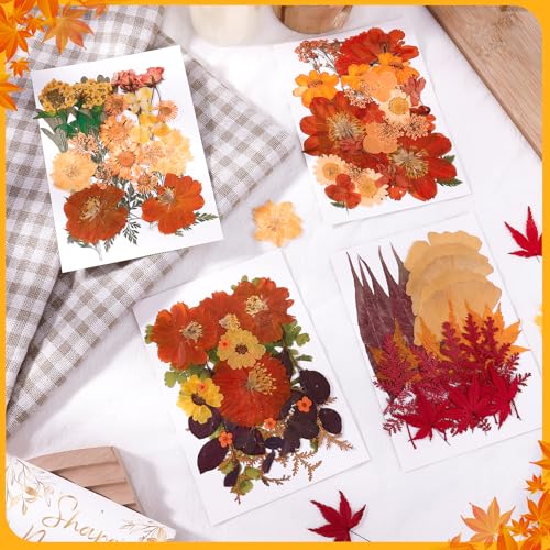 100 Pcs Real Natural Dried Pressed Flowers – Orange Botanical Decor