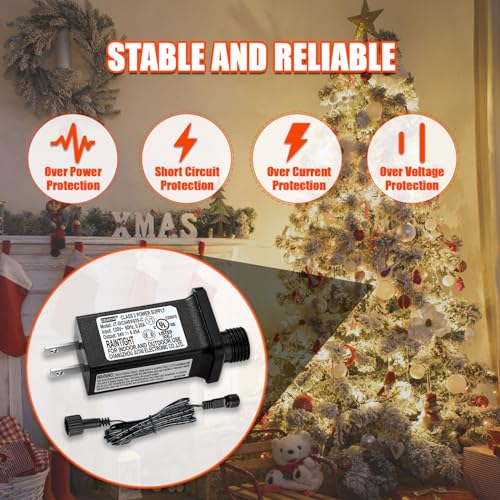 24V 0.25A LED Power Supply with Extension Cord for Holiday Lighting