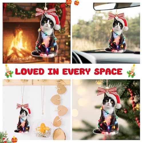 Personalized Black Cat Christmas Ornament 2025 - Funny Tree Decor