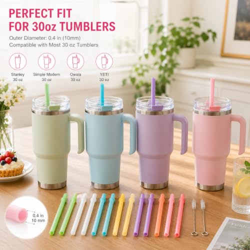 Bubrike 10.5" Reusable Replacement Straws for 30oz Tumblers - 16-Pack