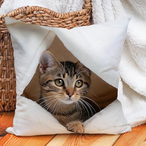 Leaveland Realistic 3D Kitten Throw Pillow Cover, 18x18 Inch Cat Cushion Case