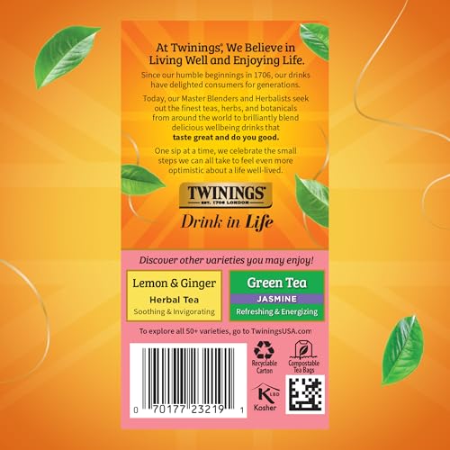 Twinings Raspberry & Lemon Herbal Tea Bags, 20 Count (Pack of 6)