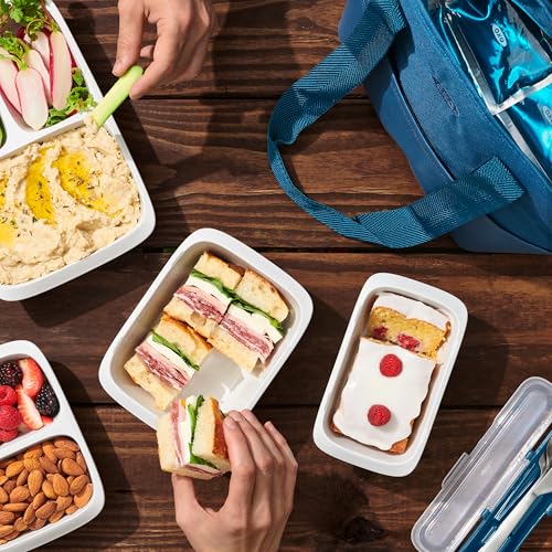 OXO Good Grips 5-Cup Leakproof Food Storage Container - Ocean Blue
