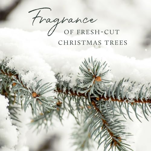 Frasier Fir Scented Candle 18 Oz - Frosted Plaid 3-Wick Home Decor