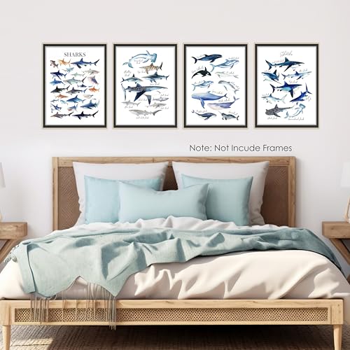 Shark and Whale Ocean Wall Art Prints Set of 4 - 12x16 Unframed