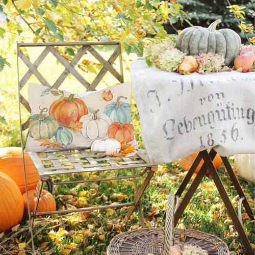 RABUSOFA Fall Pumpkin Pillow Cover, 12x20 Inch Autumn Thanksgiving Decor