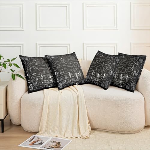 Chemical Formula Throw Pillow Covers, 16x16 Inch Science Theme, Pack of 2