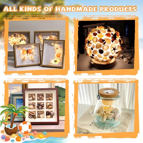 Mixed Sea Shells for Crafts, 7oz Beach Seashells & Starfish Decor