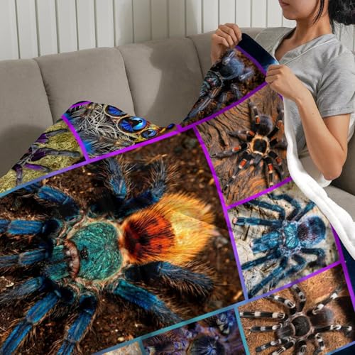 Cool Spider Throw Blanket - Soft Flannel Halloween Decor 60"x50" for Teens