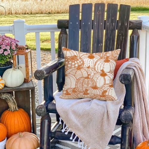 RABUSOFA Pumpkin Pillow Covers 18x18 (Set of 2) - Fall Outdoor Decor