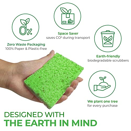 AIRNEX Compressed Cellulose Sponges - 16 Pack Natural Non-Scratch Dish Sponge