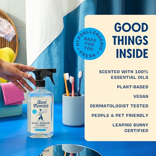 Aunt Fannie's Glass & Window Cleaning Bundle with Spray and 2 Wipes