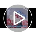 Silicone Sphere Ice Mold Set - 4 Easy Release Ice Cube Makers