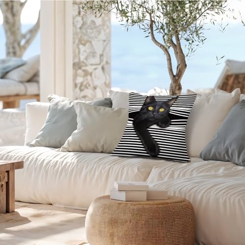 Funny Black Cat Pillow Cover 18x18 - Whimsical Home Decor