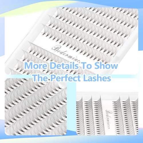 Dedila 10D Premade Volume Eyelash Extensions D Curl 0.07mm 18mm
